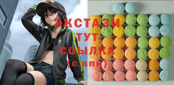 ECSTASY Инта