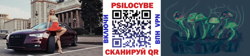 Псилоцибиновые грибы Psilocybine cubensis  Купить  Дигора 